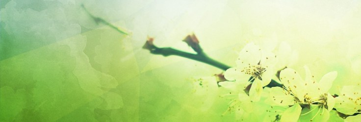 Spring Blossoms Mother's Day Website Banner